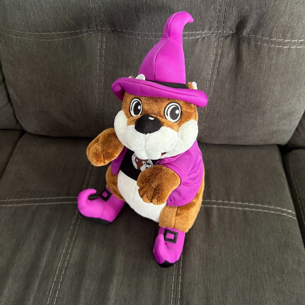 Buc-ee's Halloween Wizard Beaver Plush Stuffed Animal Purple Hat Shoes Mascot